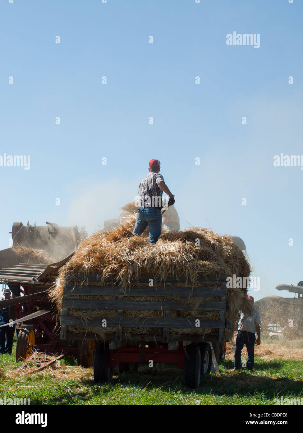 Men harvesting hay with old farm equipment Stock Photo - Alamy
