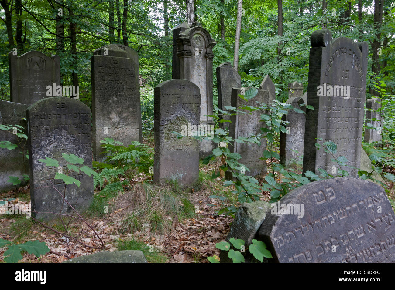 Old tombstones, cemetery Hamburg, Germany Stock Photo