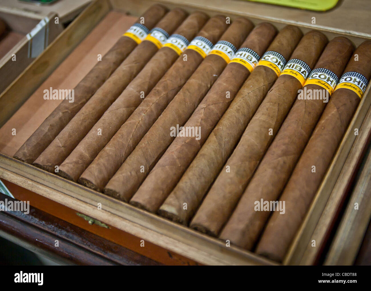 Cigare cubain image stock. Image du cadre, cigarette - 13301943