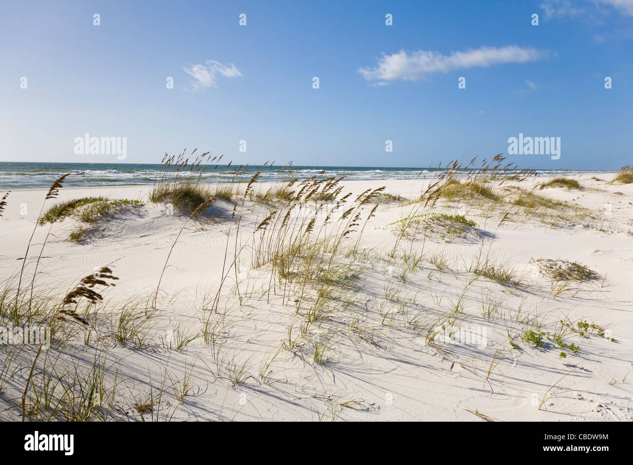 Sand dunes in the Perdido Key Area of Gulf Islands National Seashore near Pensacola Florida Stock Photo