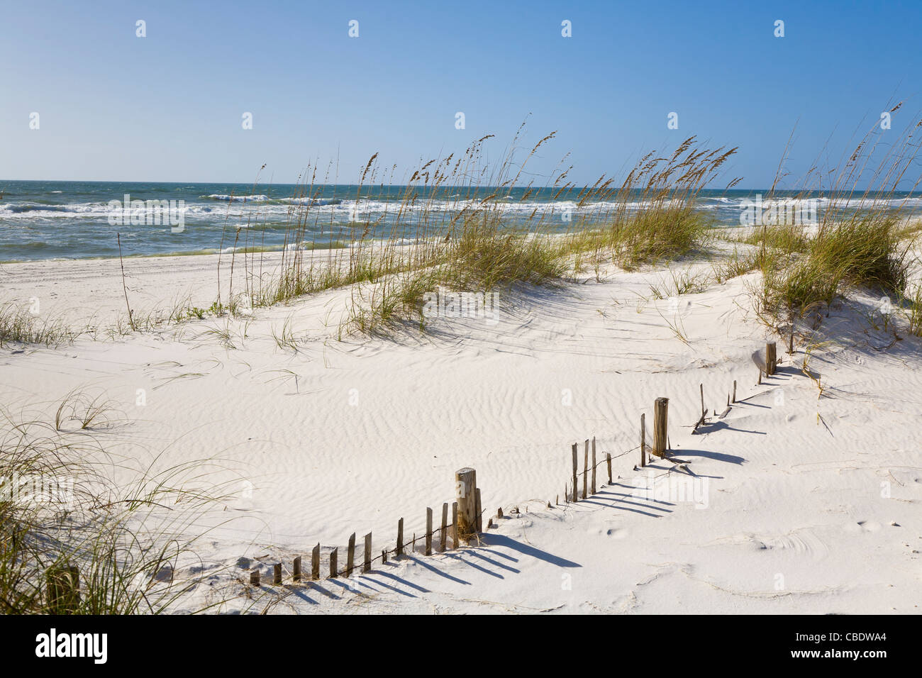 Sand dunes in the Perdido Key Area of Gulf Islands National Seashore near Pensacola Florida Stock Photo