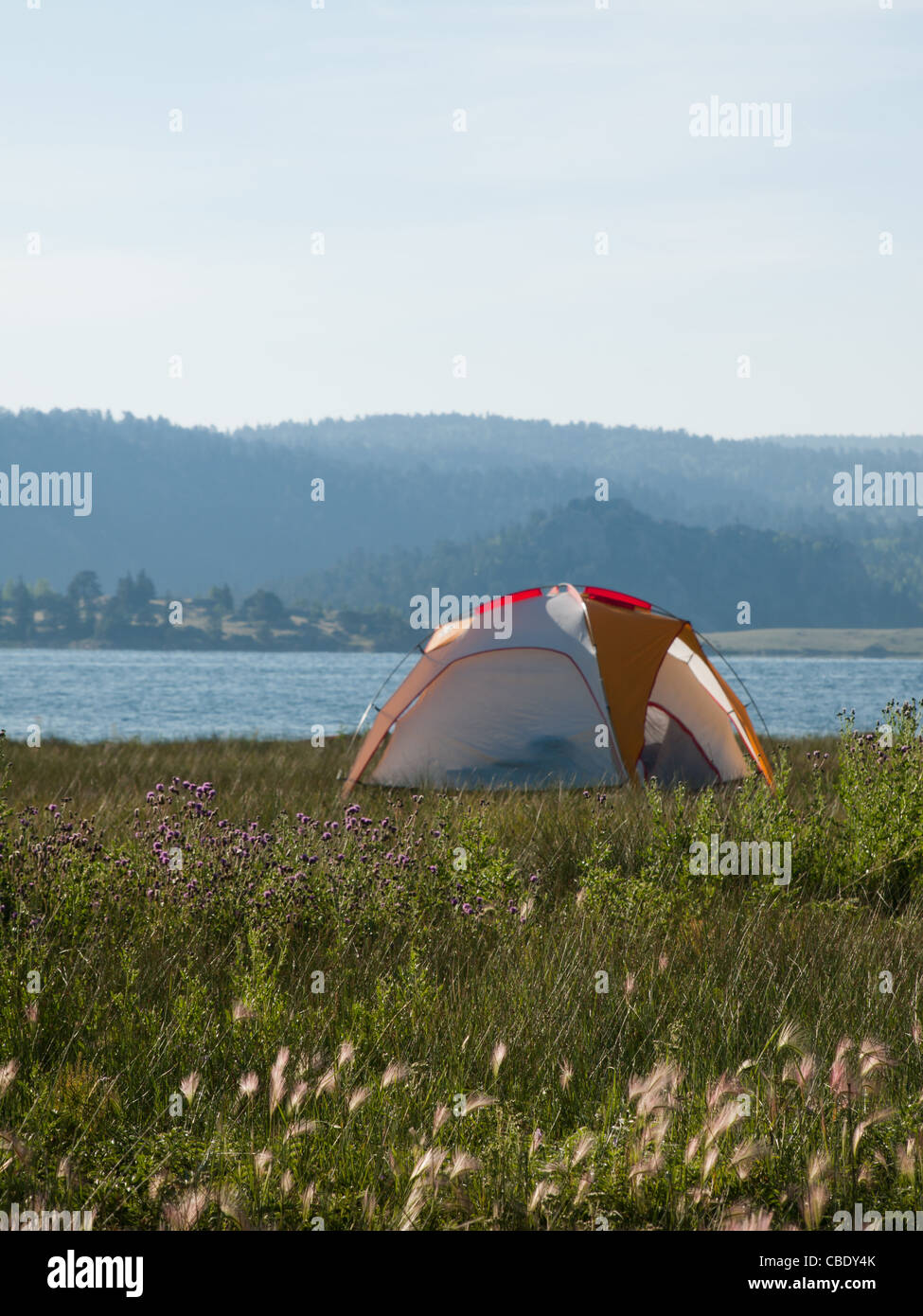 Camping at Eleven Mile Reservoir, Colorado Stock Photo Alamy