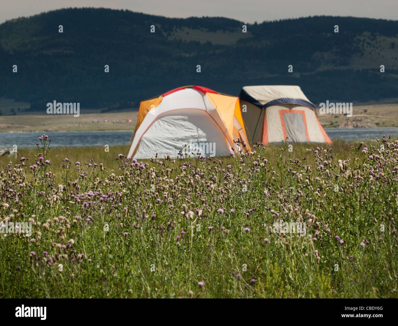 Camping at Eleven Mile Reservoir, Colorado Stock Photo Alamy