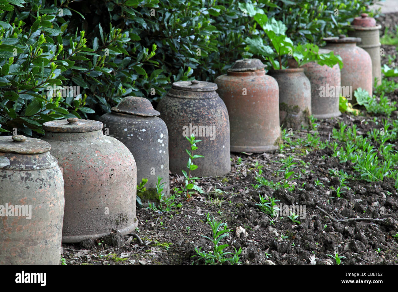 Vintage earthenware clay pots for wine and water containment used as  decorative objects in a garden Stock Photo - Alamy