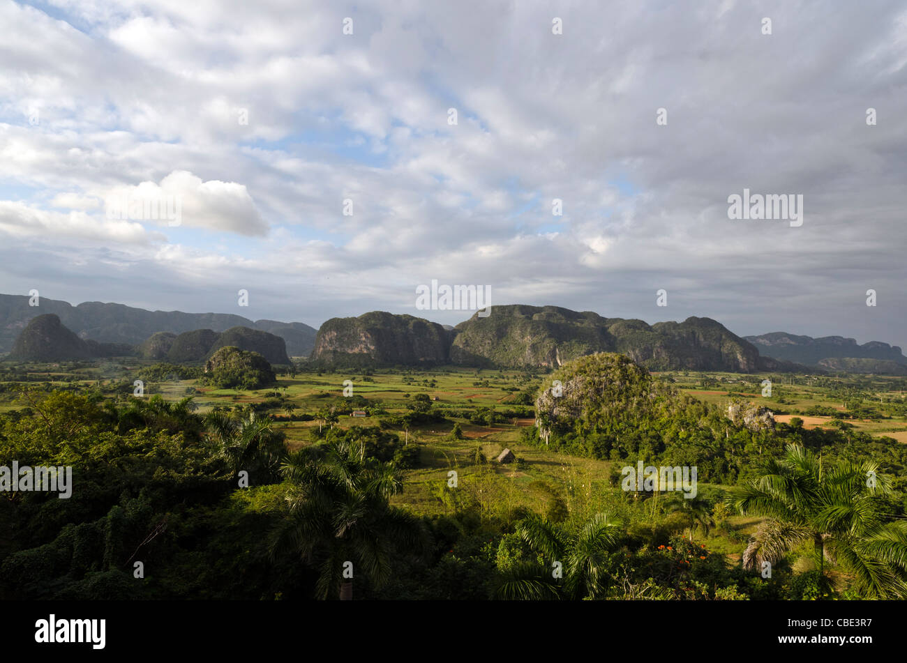 Viñales valley Cuba Stock Photo - Alamy