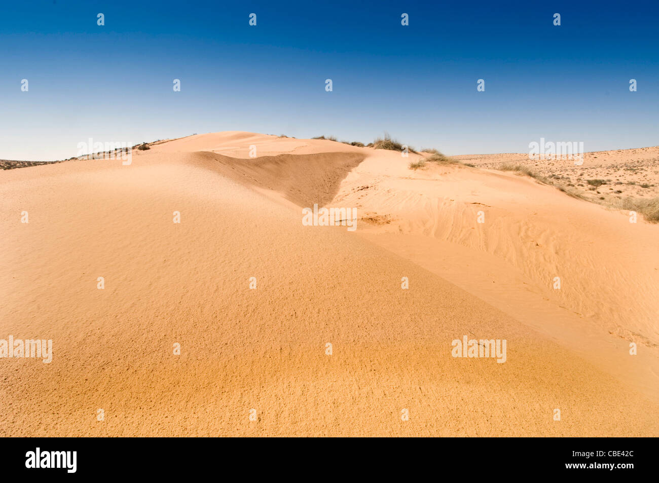 Desert sand dune Photographed in Israel Negev Desert Stock Photo