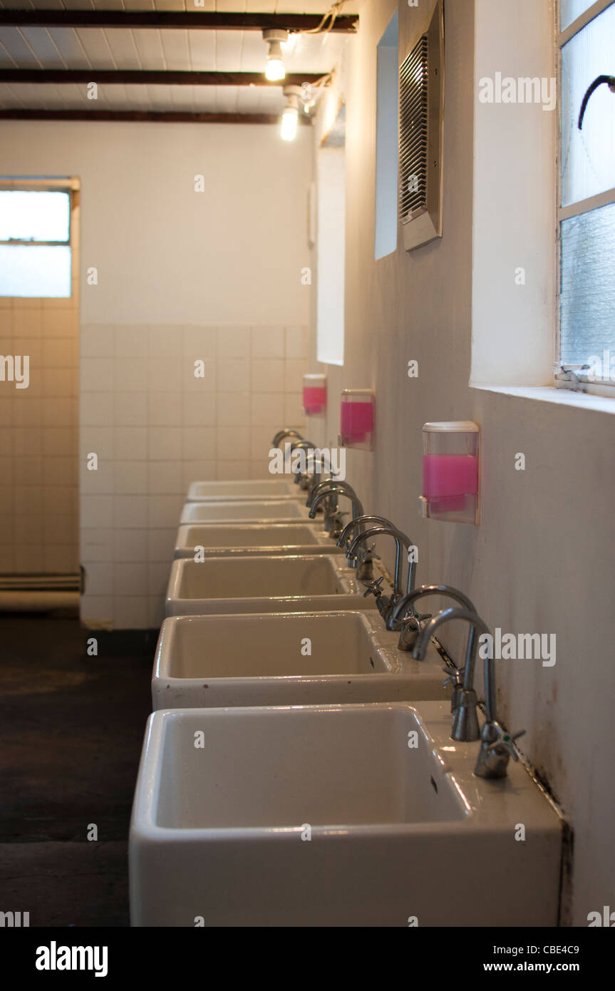 Row of Sinks in a Public Toilet Stock Photo Alamy