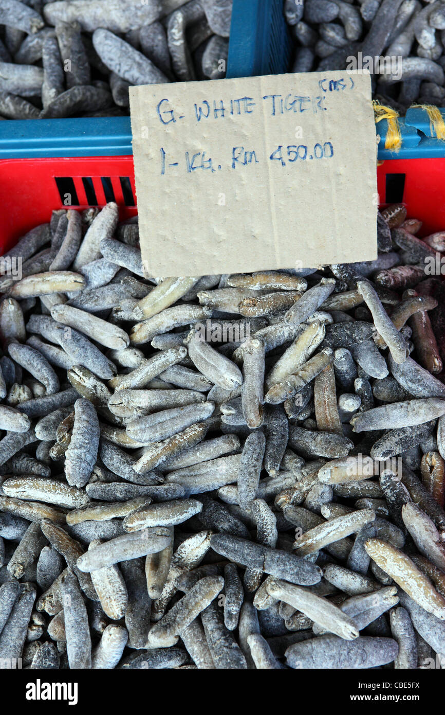 Sea cucumbers for sale at Kota Kinabalu waterfront market Stock Photo