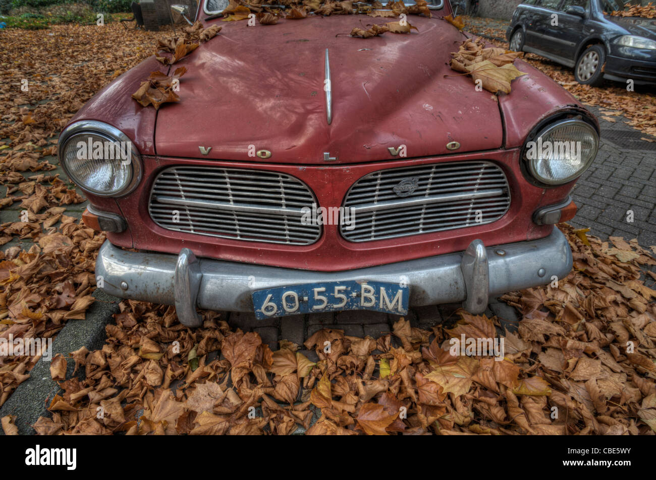 Volvo classic car in autumn Stock Photo