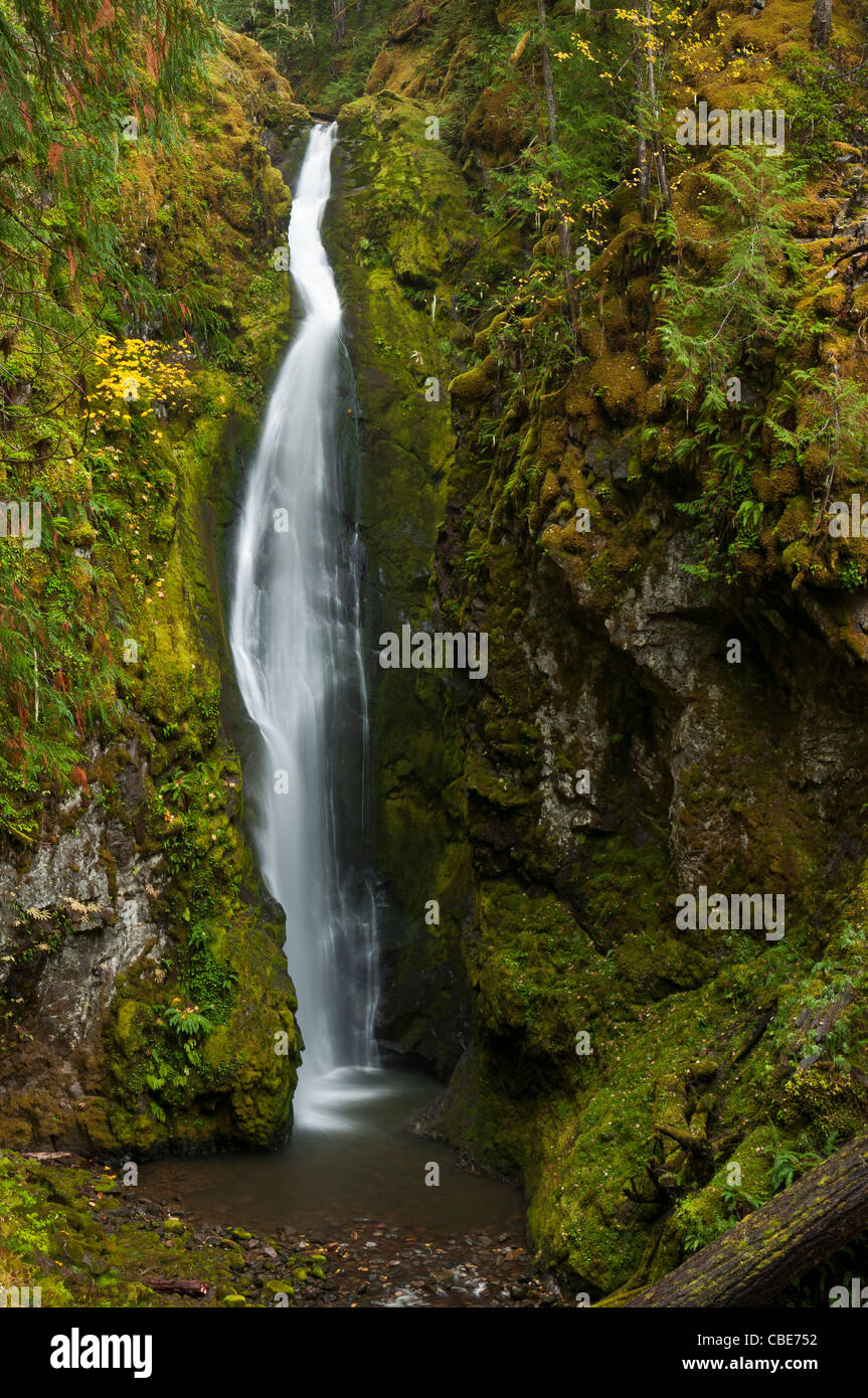 Pinard Falls; Umpqua National Forest, Cascade Mountains, Oregon. Stock Photo