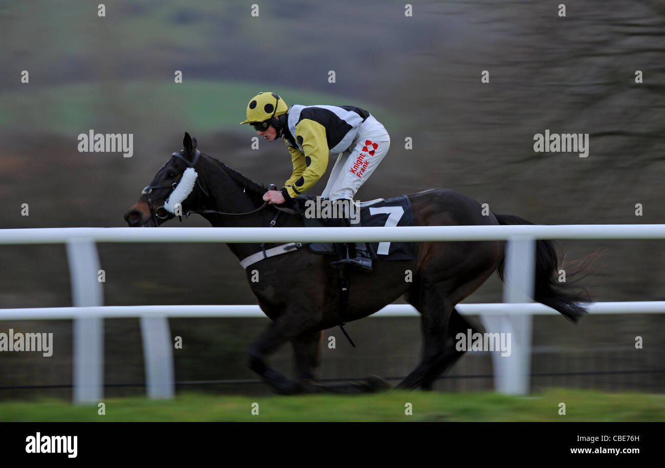 Racehorse And Jockeys In Action During A Horse Race Stock Photo Alamy racehorse-and-jockeys-in-action-during-a-horse-race-stock-photo-alamy