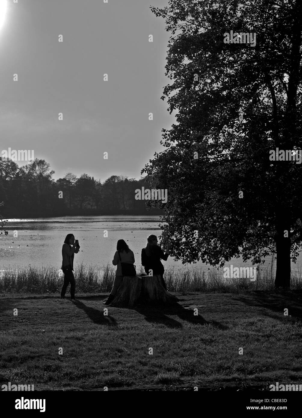 Lakeside view Black and White Stock Photos & Images - Alamy