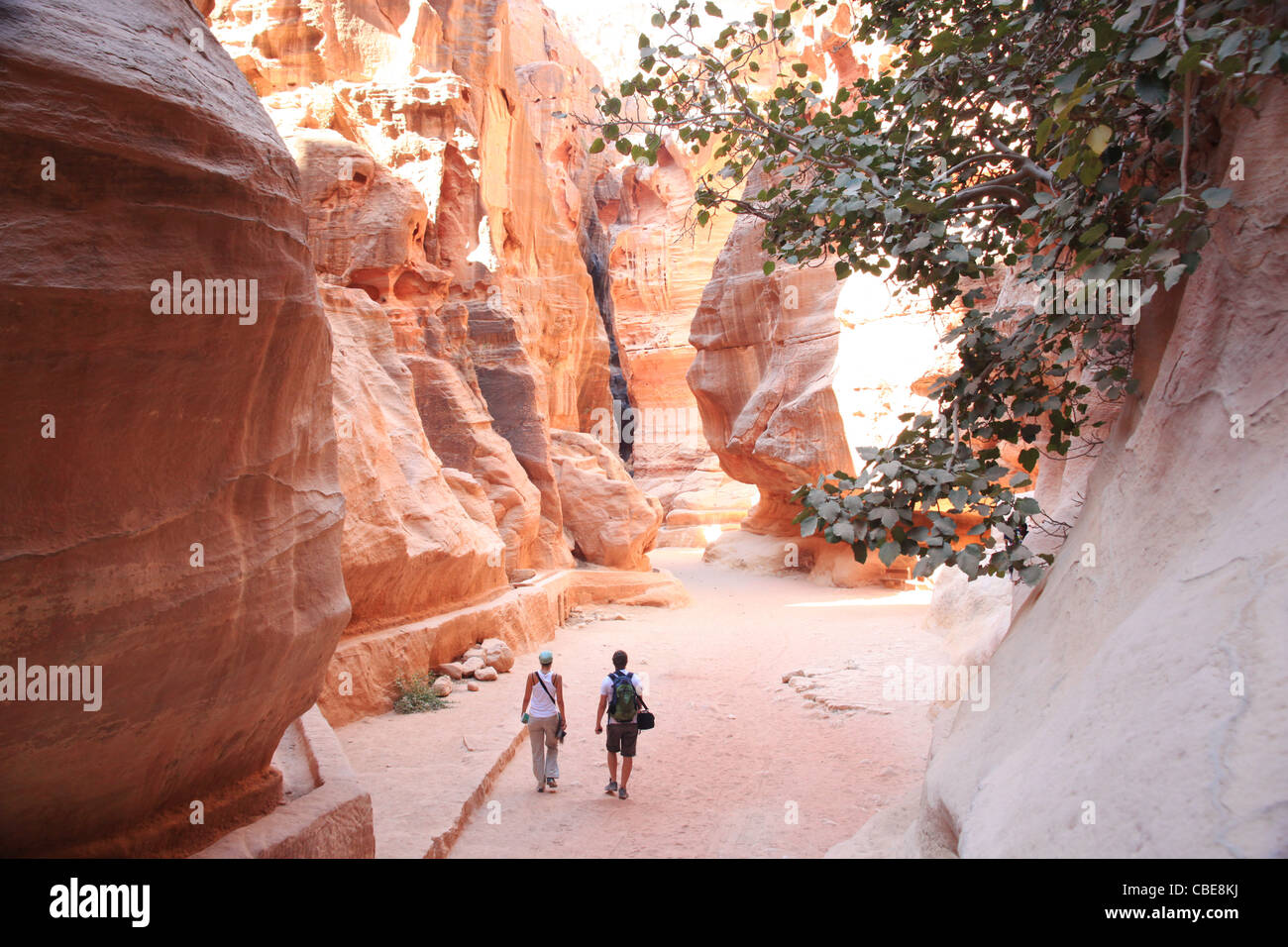Jordan petra christmas 2025 from london