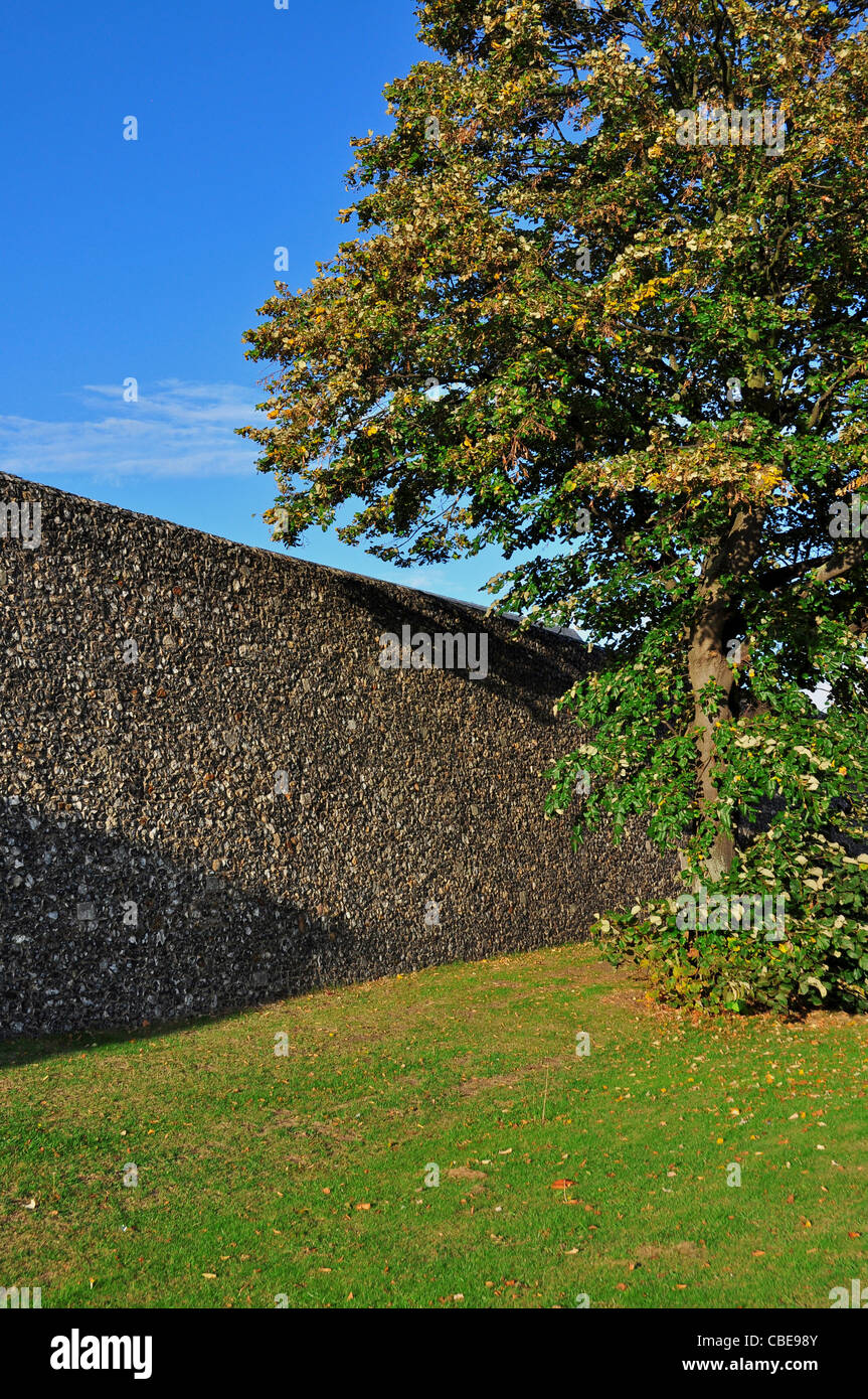 City wall in Canterbury, Kent, England. Stock Photo