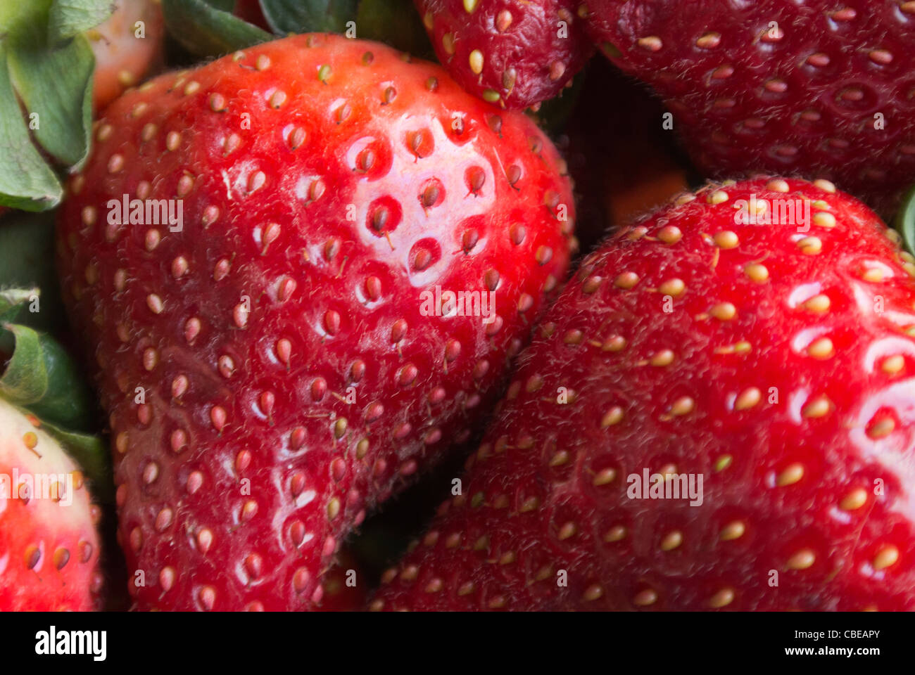Ripe red seeds hi-res stock photography and images - Alamy