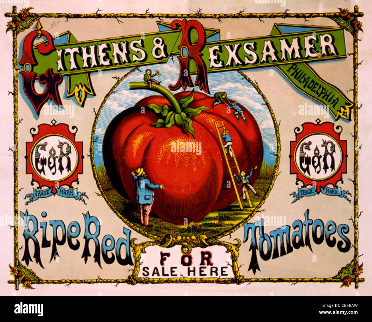 Ripe red tomatoes for sale here Advertisement for Githens & Rexsamer tomatoes showing men climbing gigantic tomato. Stock Photo