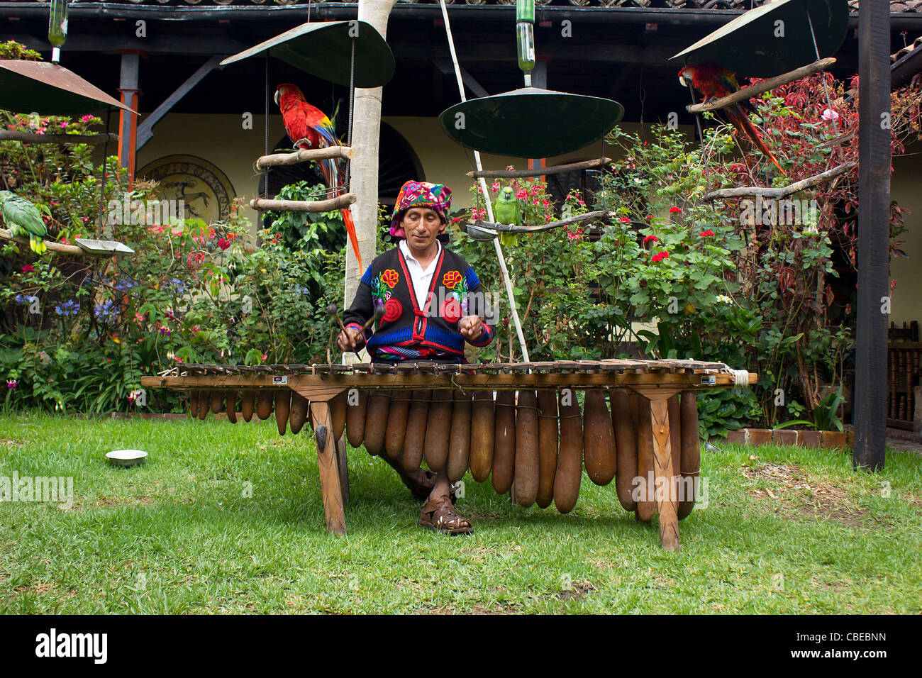 Guatemalan mayan man playing marimba Stock Photo