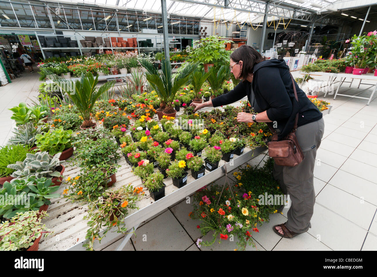 A woman looking at plants for sale in a garden centre. NB: Model release available for woman in foreground. Stock Photo