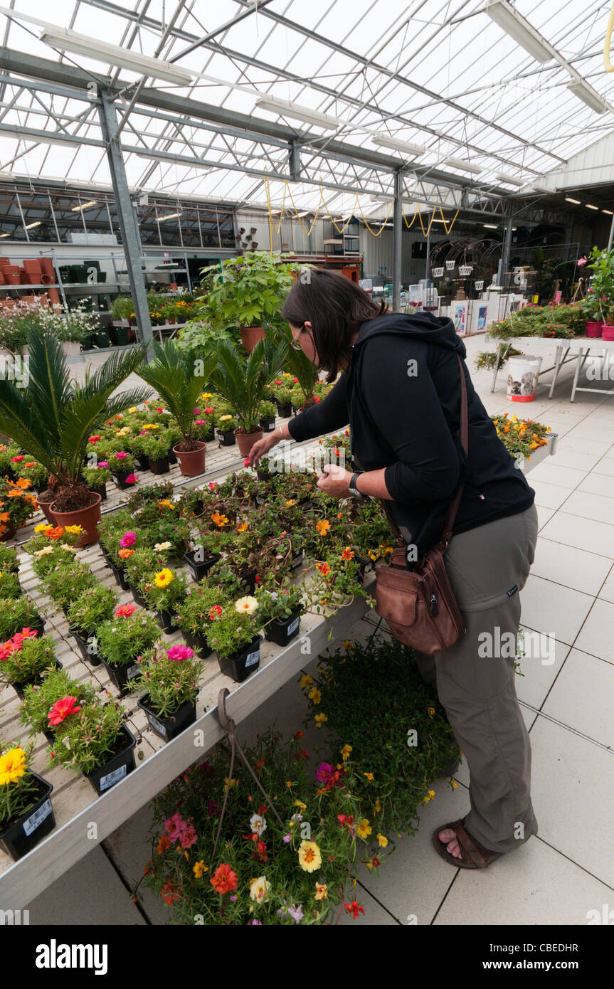 A woman looking at plants for sale in a garden centre. Stock Photo