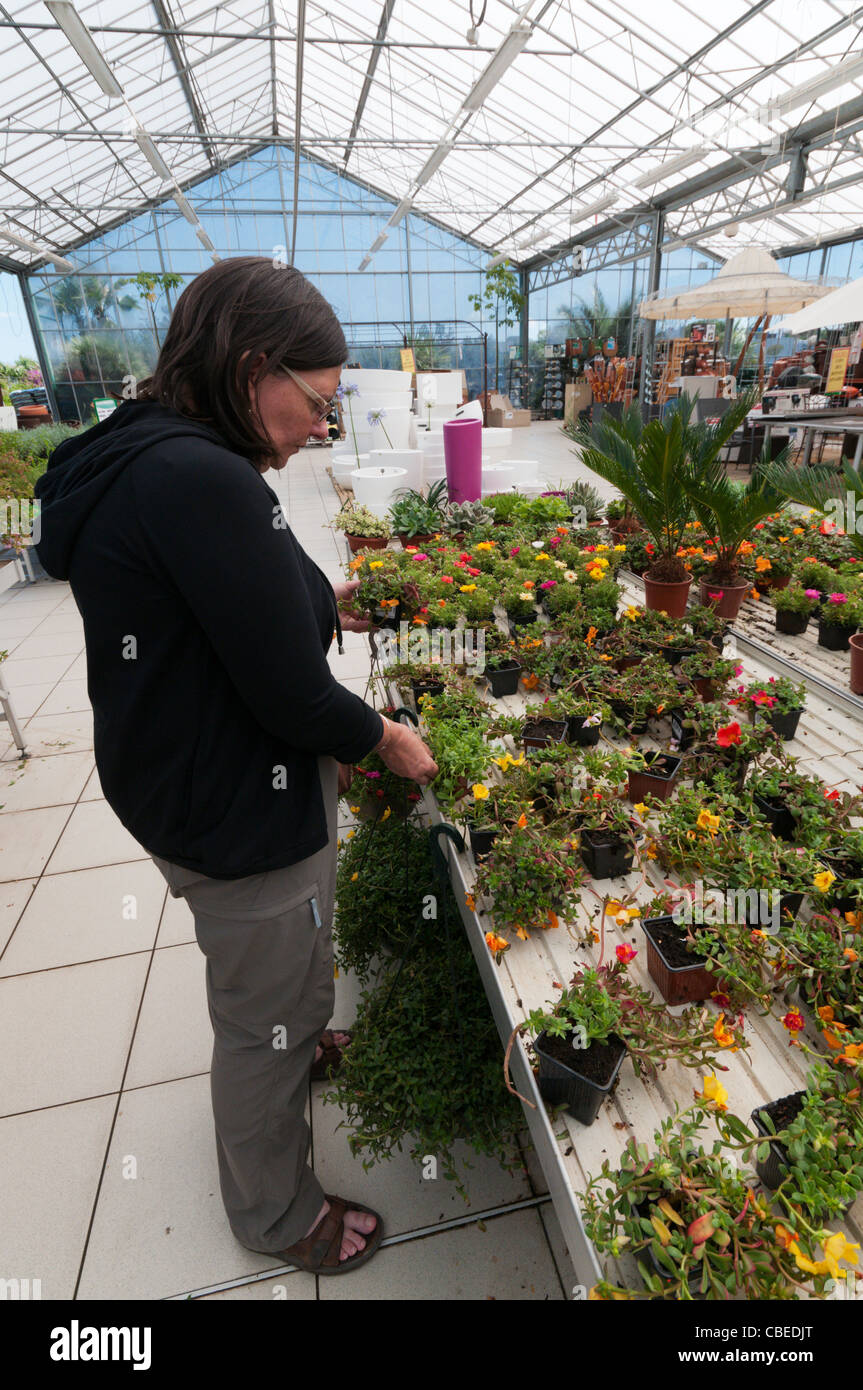 A woman looking at plants for sale in a garden centre. Stock Photo