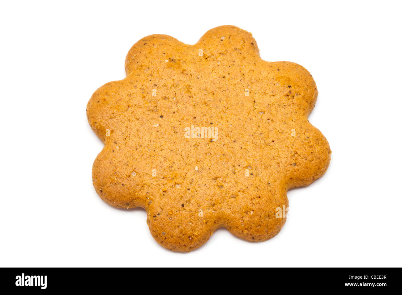 Gingerbread isolated on white background Stock Photo - Alamy