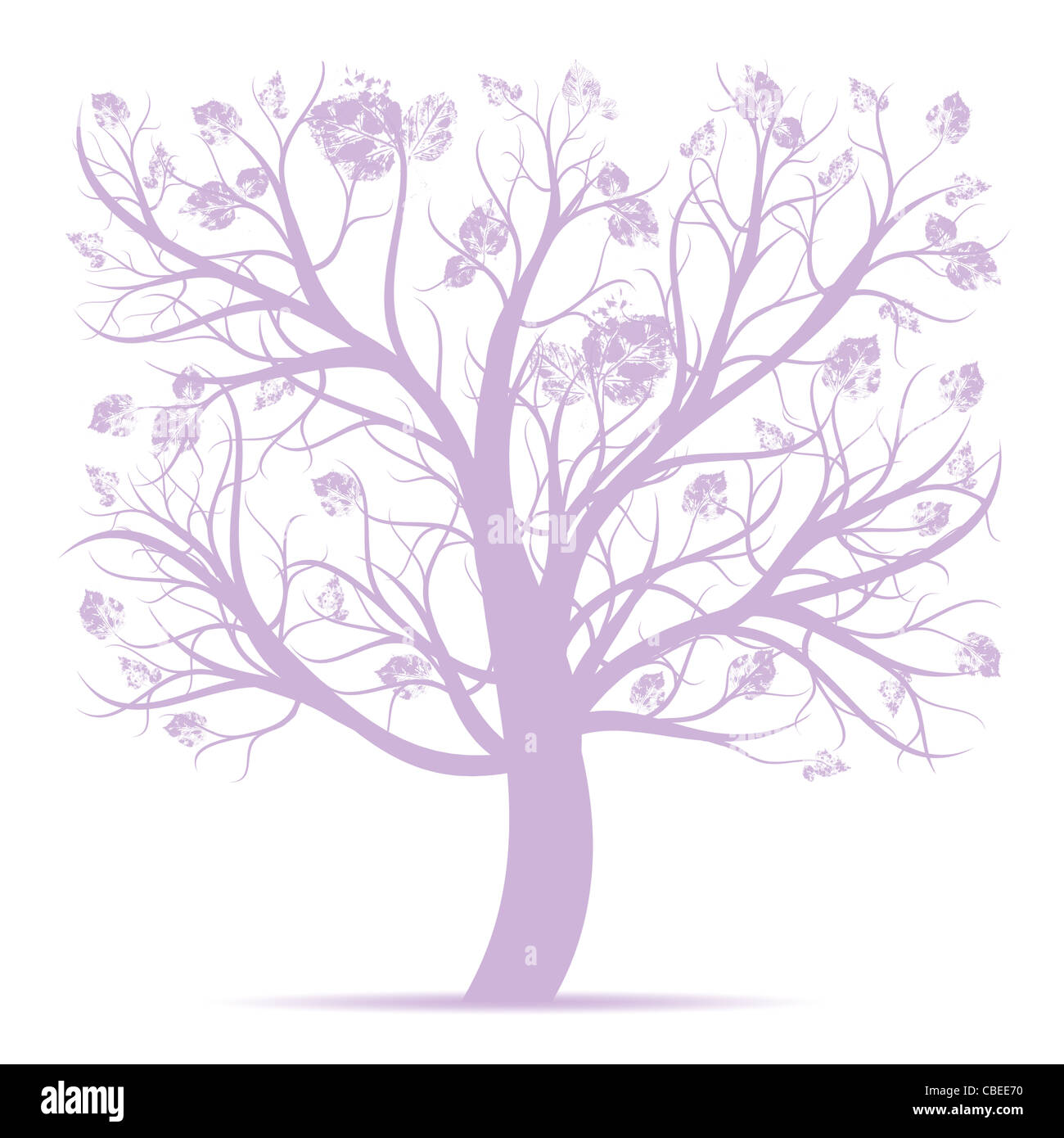 Beautiful art tree isolated on white background Stock Photo - Alamy