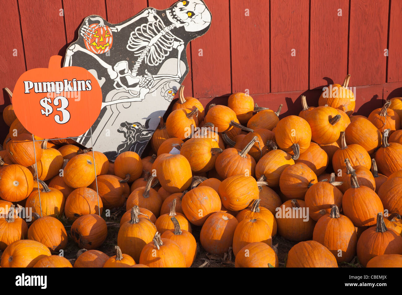 Pumpkins for sale sign hires stock photography and images Alamy