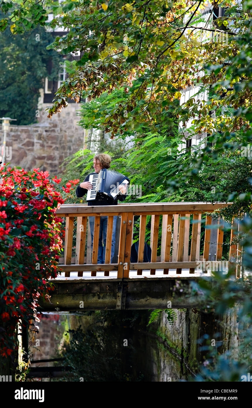 Accordion player, Tübingen, Germany, Europe Stock Photo Alamy