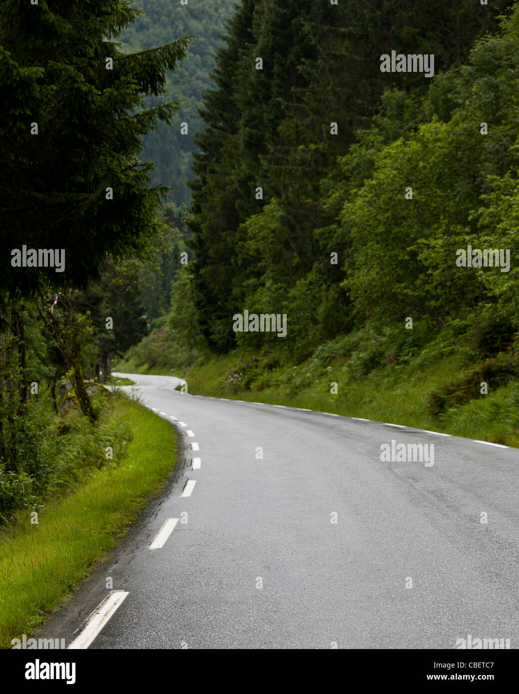 Road in the summertime, Norway Stock Photo
