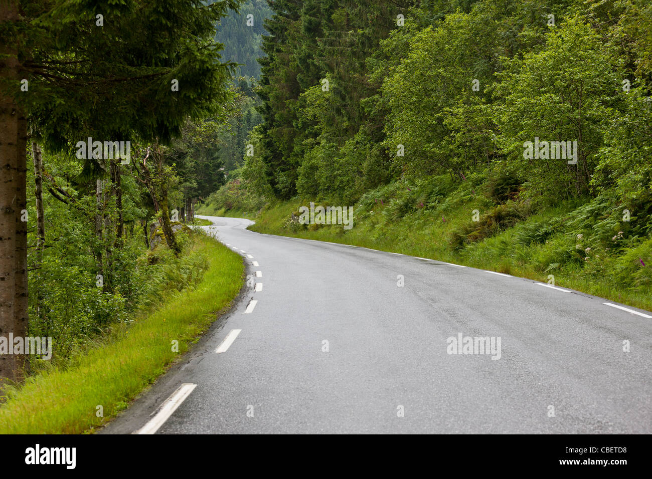 Road in summertime, Norway Stock Photo