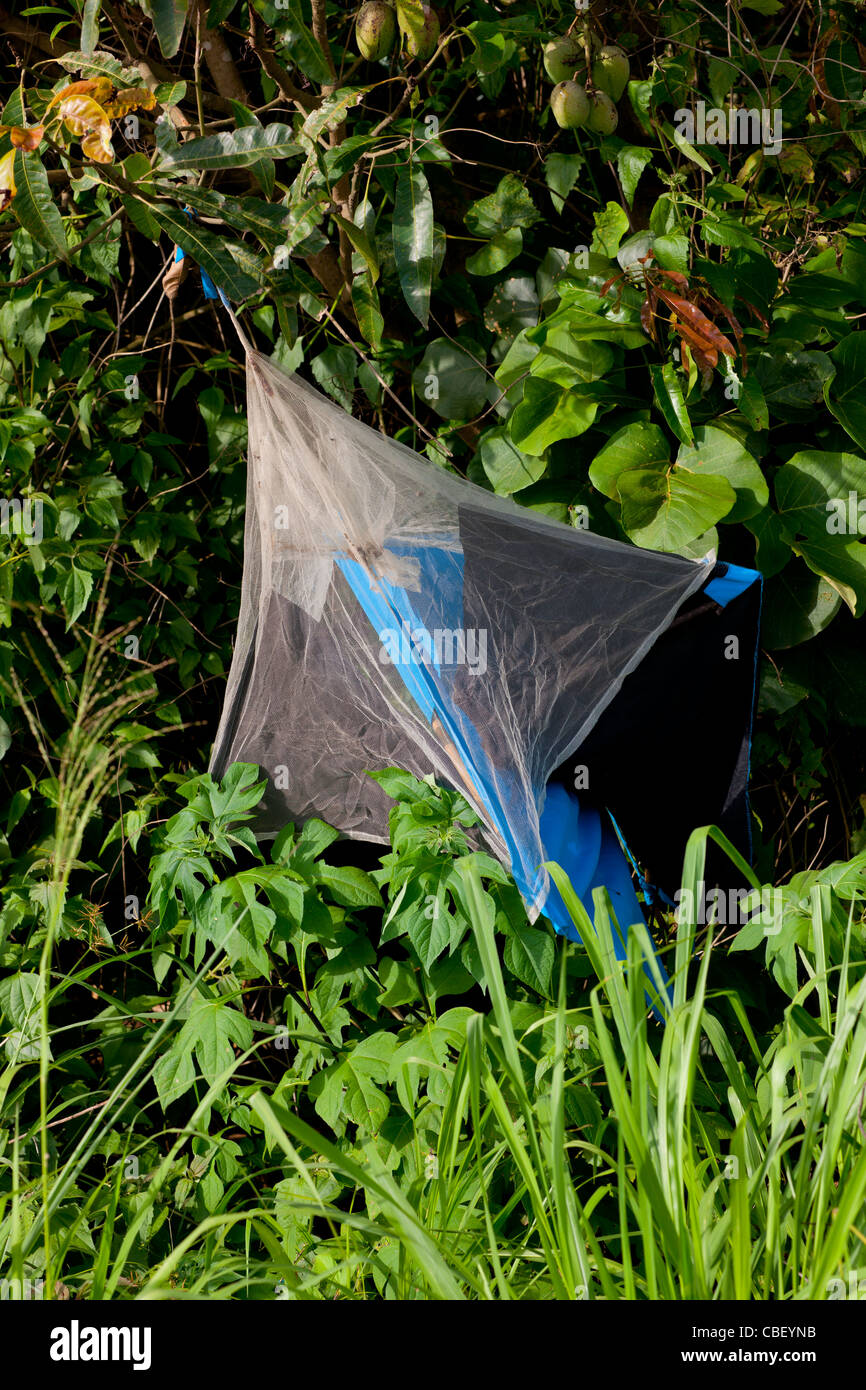 Mosquito net africa malaria hires stock photography and images Alamy