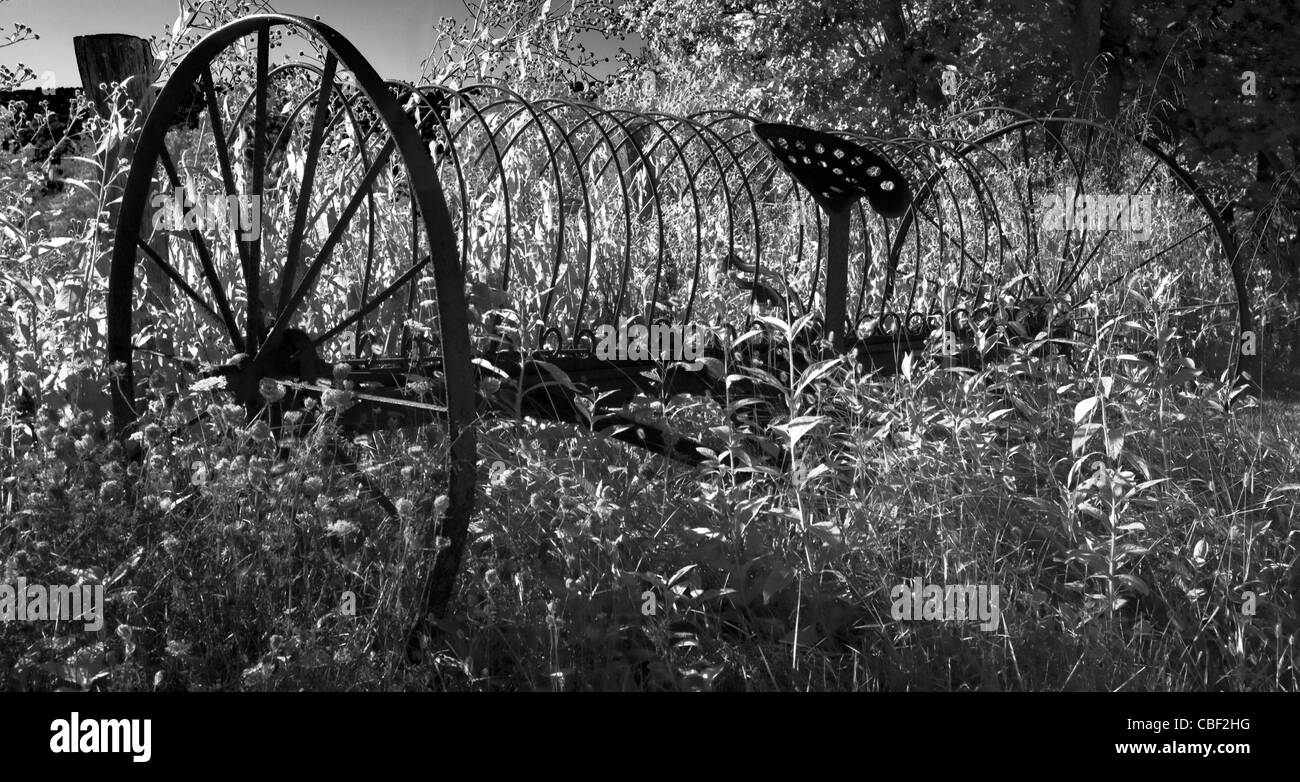 Old Rake Implement An antique farm implement, a rake, overgrown with weeds Stock Photo - Alamy