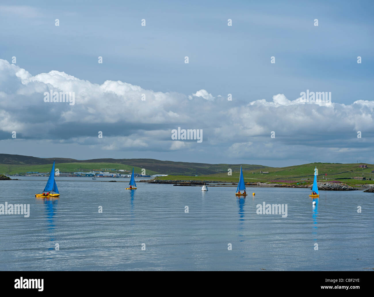 Taking advantage of a spell of calm weather in the Sound of Bressay, Shetland Islands, Scotland.  SCO 7764 Stock Photo