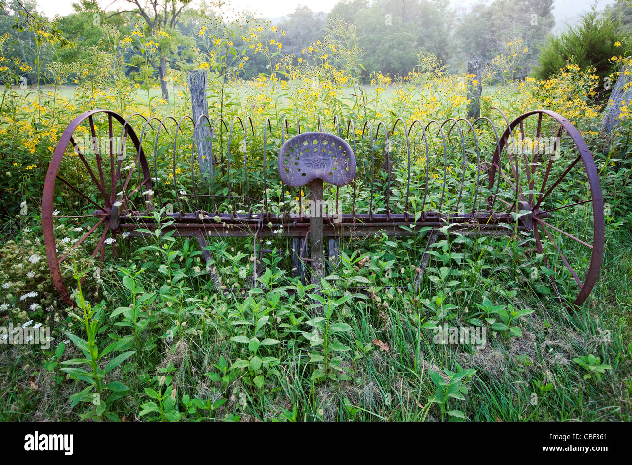 An antique farm implement, a rake, overgrown with weeds. Stock Photo