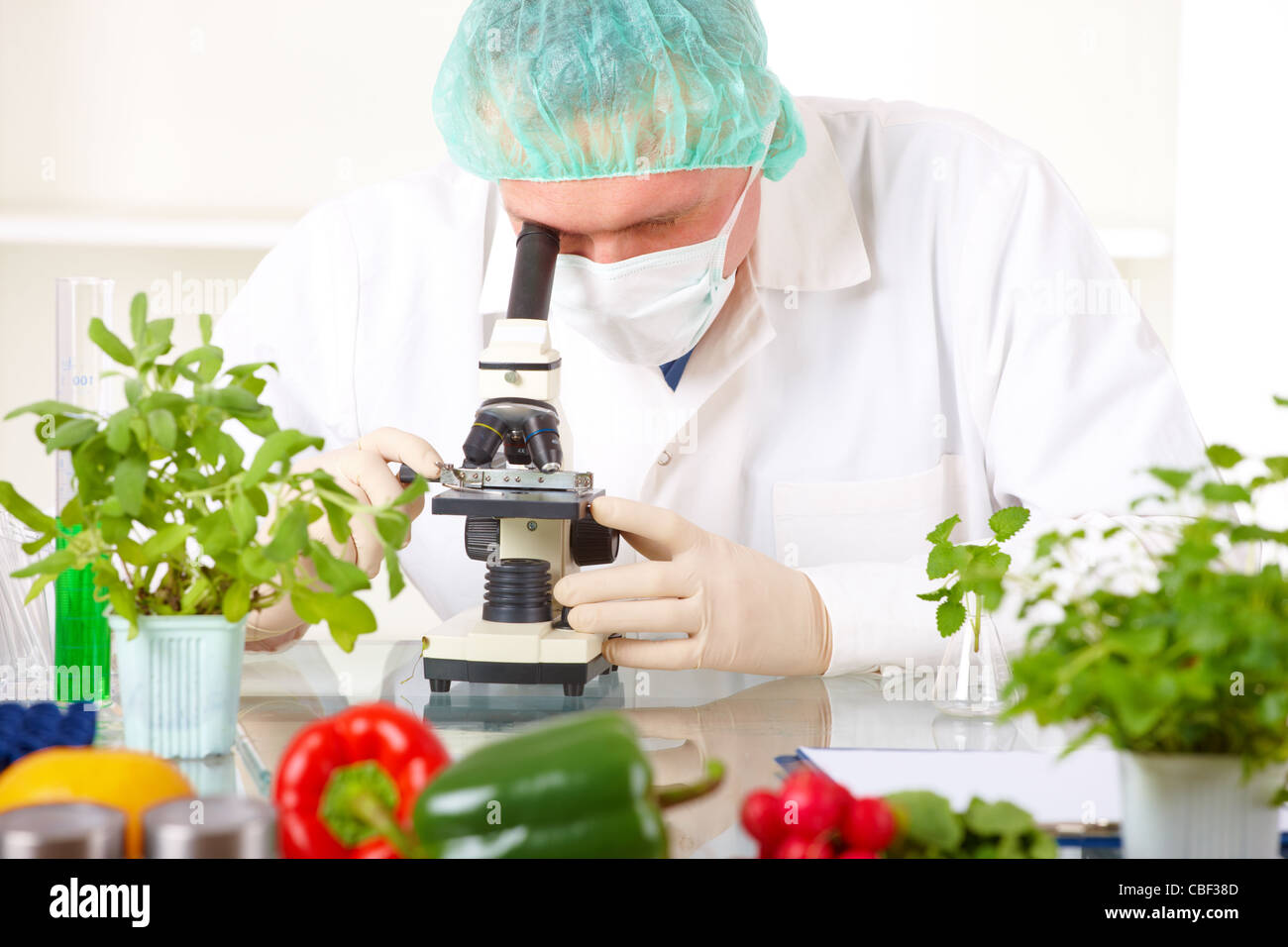 Researcher holding up a GMO vegetable in the laboratory Stock Photo Alamy