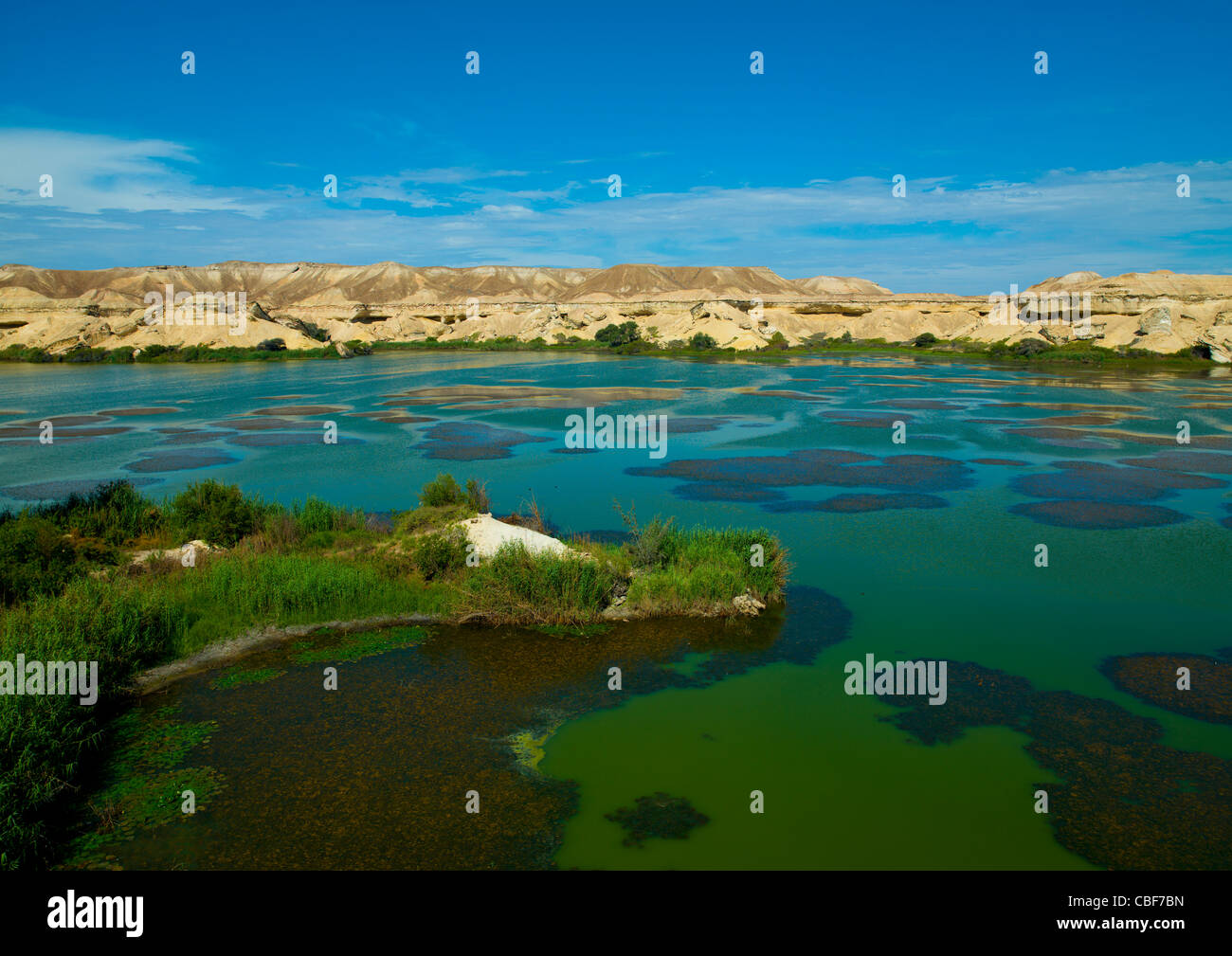 Arco's Oasis In The Namibe Desert, Angola Stock Photo