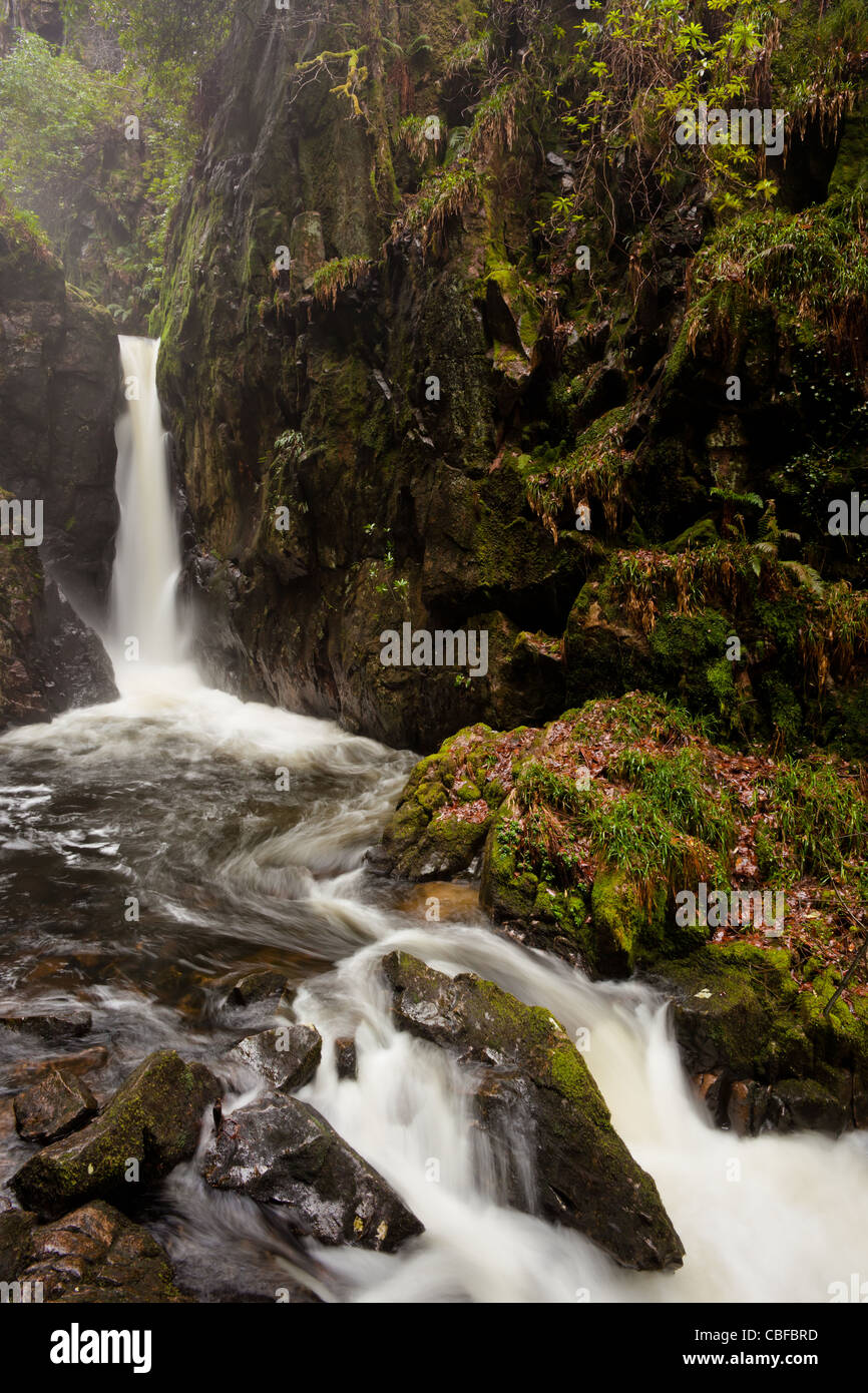 Stanley Force waterfall, Dalegarth, English Lake District Stock Photo