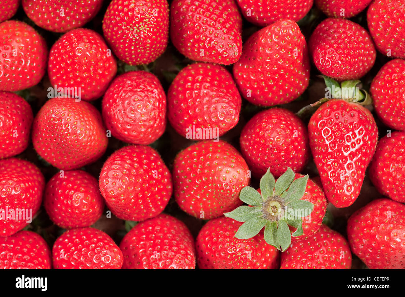Strawberries Stock Photo
