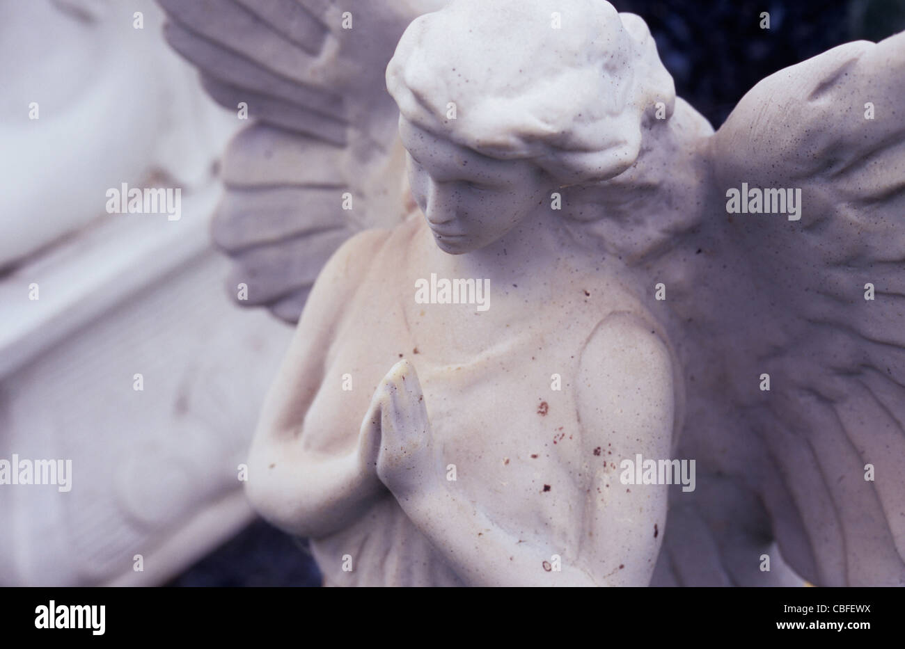 Weathered and stained white marble young classic angel with big wings ...