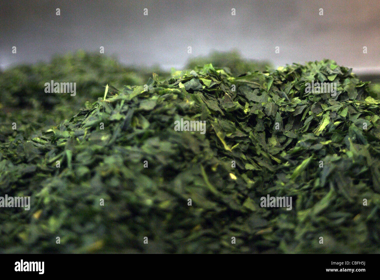 Japanese green tea leaves Stock Photo Alamy
