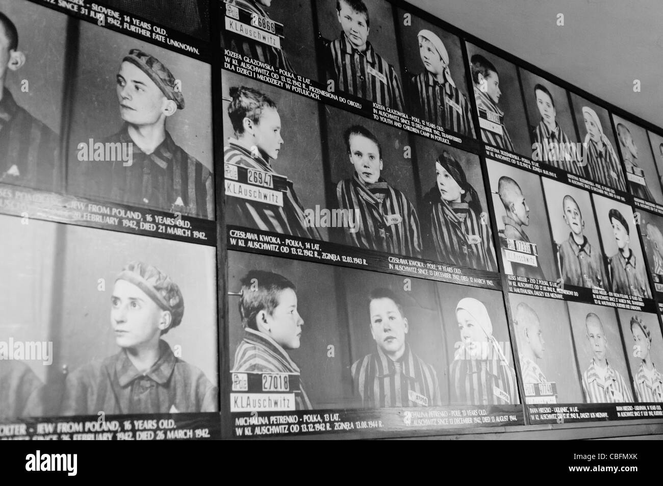 Photographs of child prisoners at Auschwitz I Nazi concentration camp Stock Photo