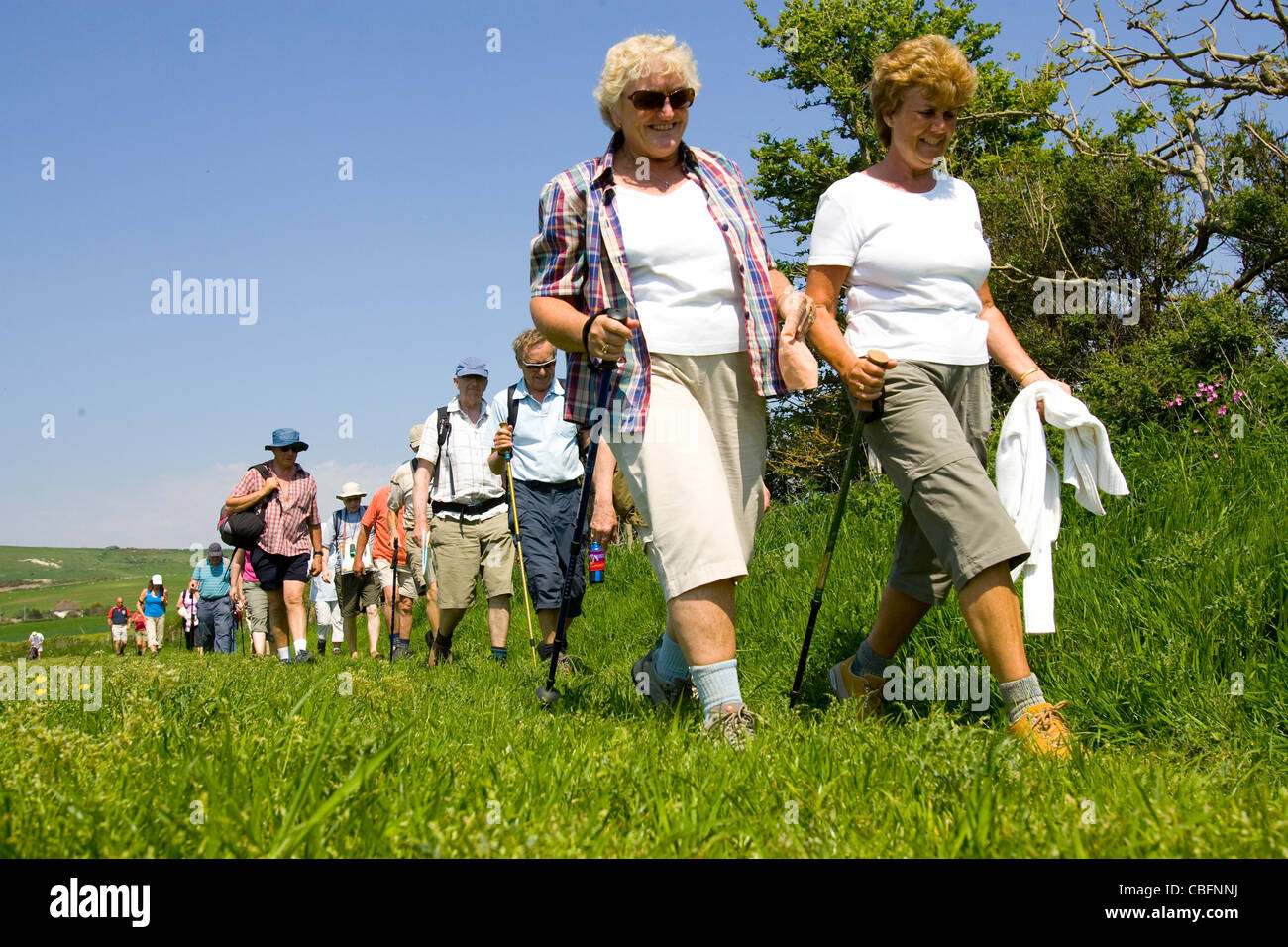 Brightstone, UK, England, Isle of Wight, Afternoon, Tea ansd Cake, Yafford, Walkers, Limerstone, Brighstone, Walking Festival Stock Photo