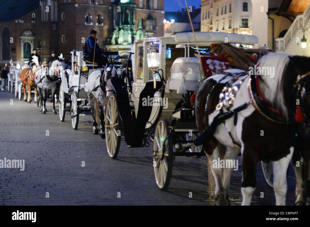 Horse drawn tour tourist carriages line up at night in Rynek Glowny, Krakow Stock Photo
