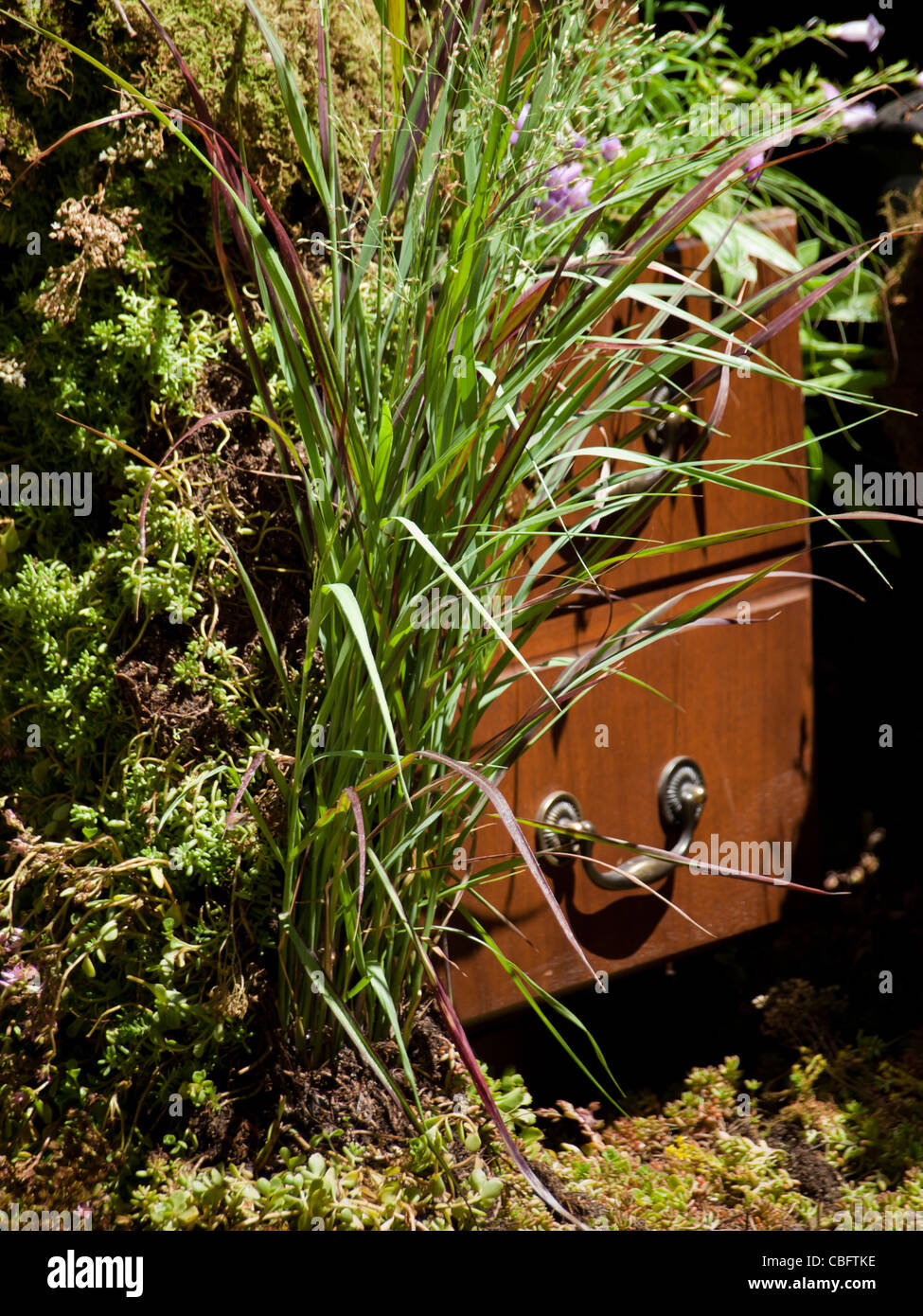 Abandoned office with overgrown plants Stock Photo Alamy