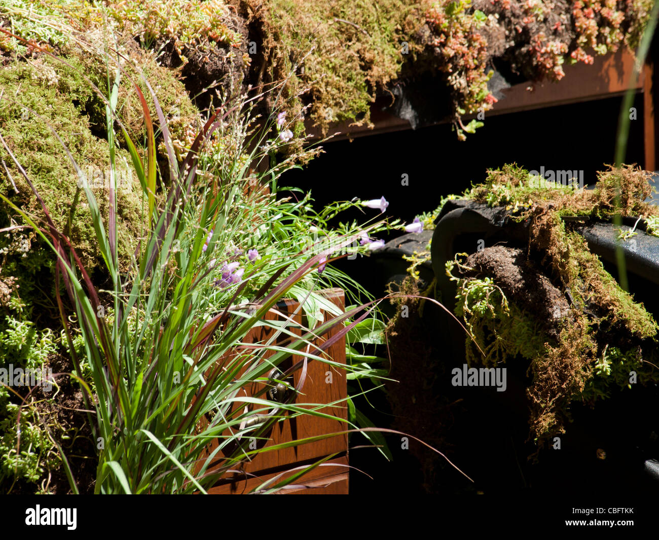 Abandoned office with overgrown plants Stock Photo Alamy