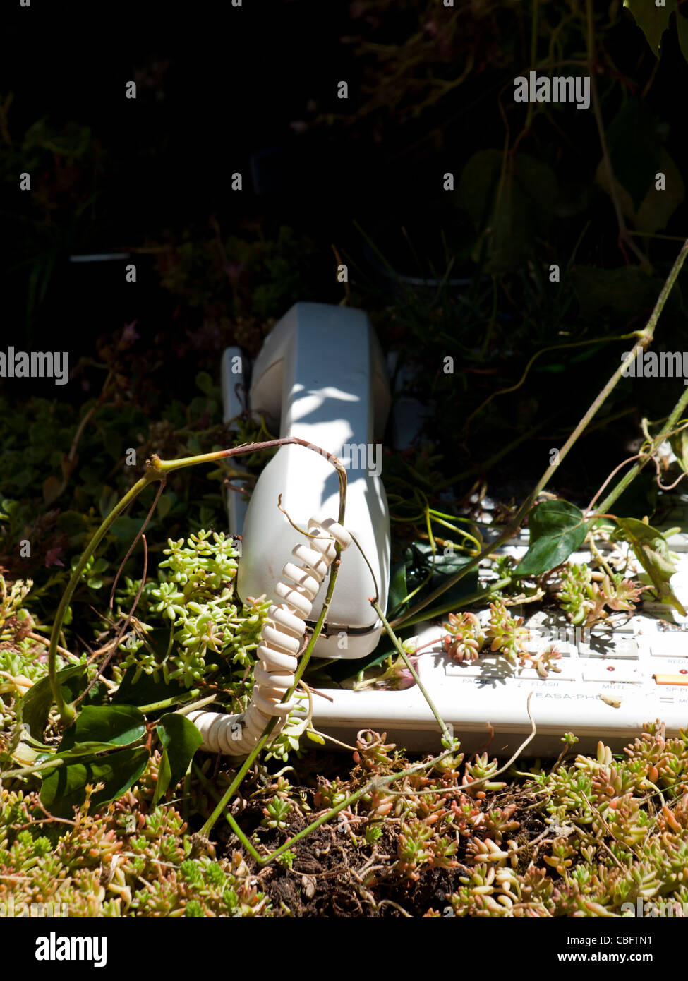 Abandoned office with overgrown plants Stock Photo Alamy