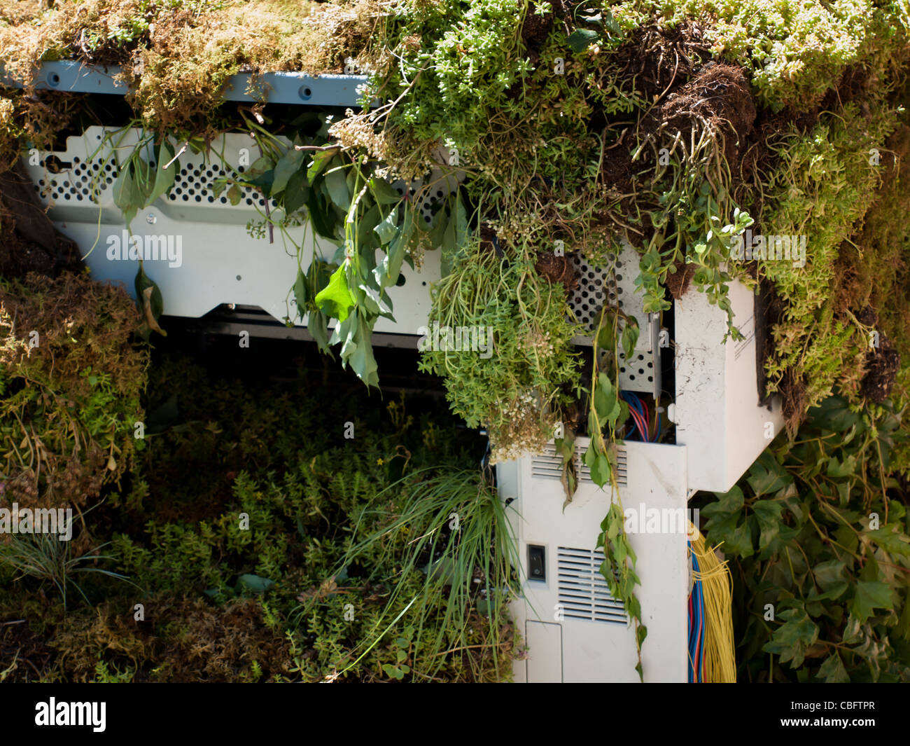 Abandoned office with overgrown plants Stock Photo Alamy