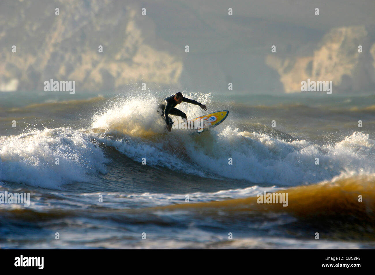 surfer, surf, Compton Bay, Isle of Wight, England, UK Stock Photo Alamy