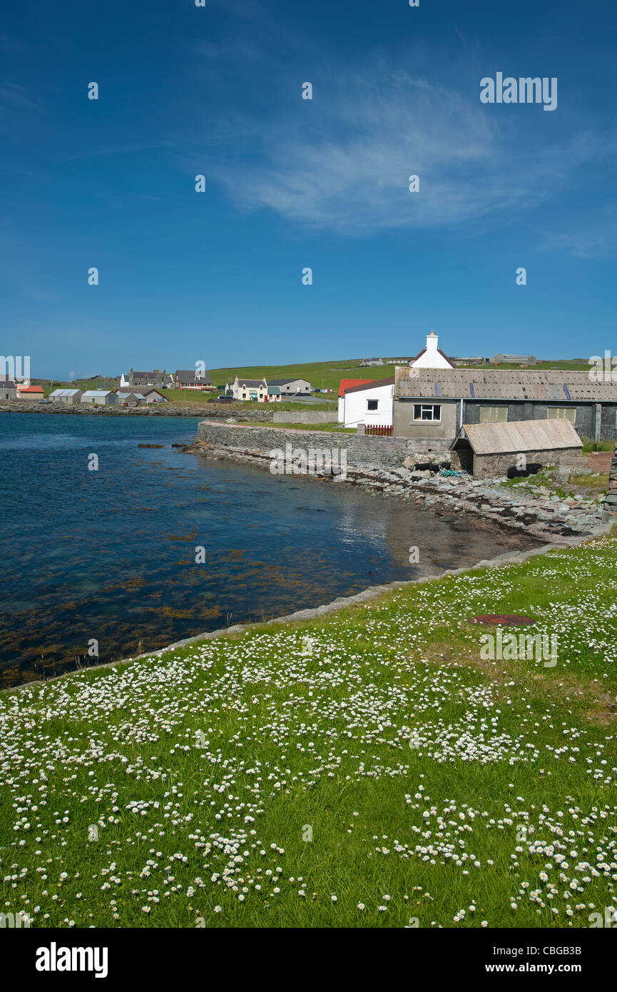 Shetland isles and houses hires stock photography and images Alamy