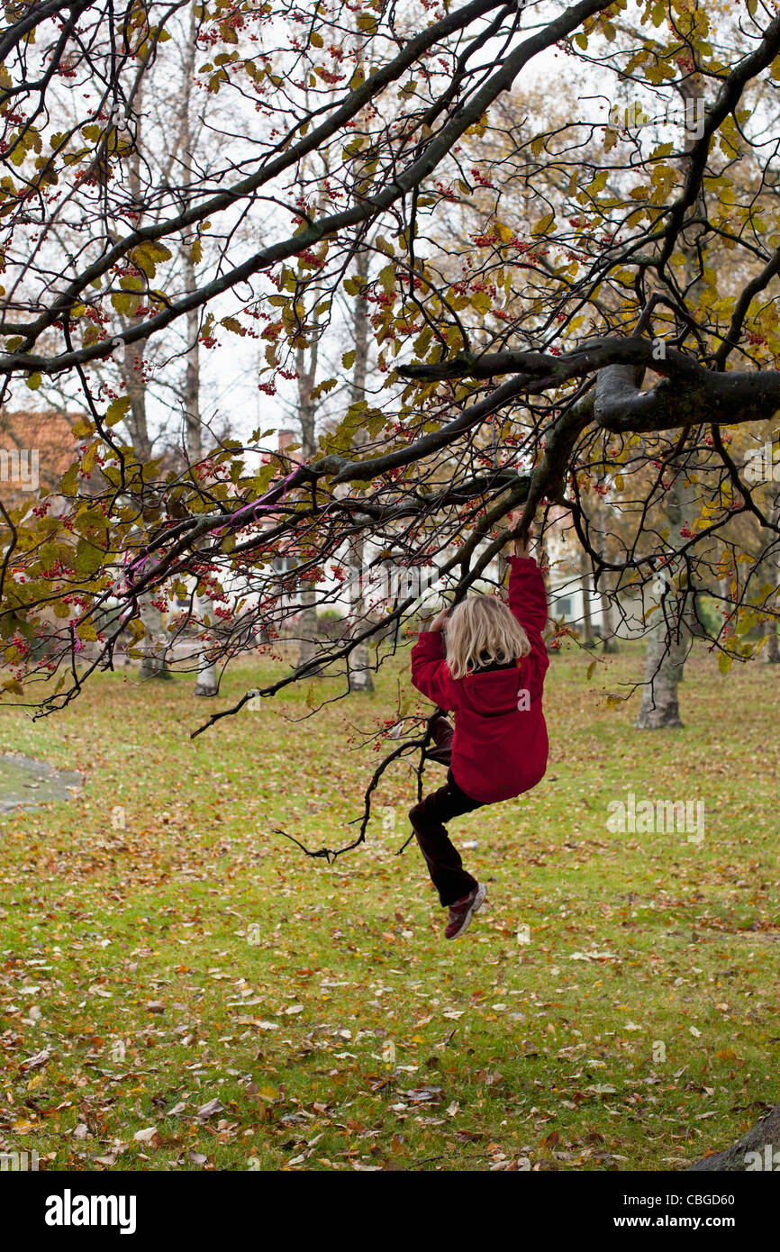 Boy swinging on branch of tree Stock Photo - Alamy